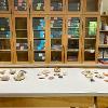 The William G. Dever Sherd Collection  in the Archaeology Lab