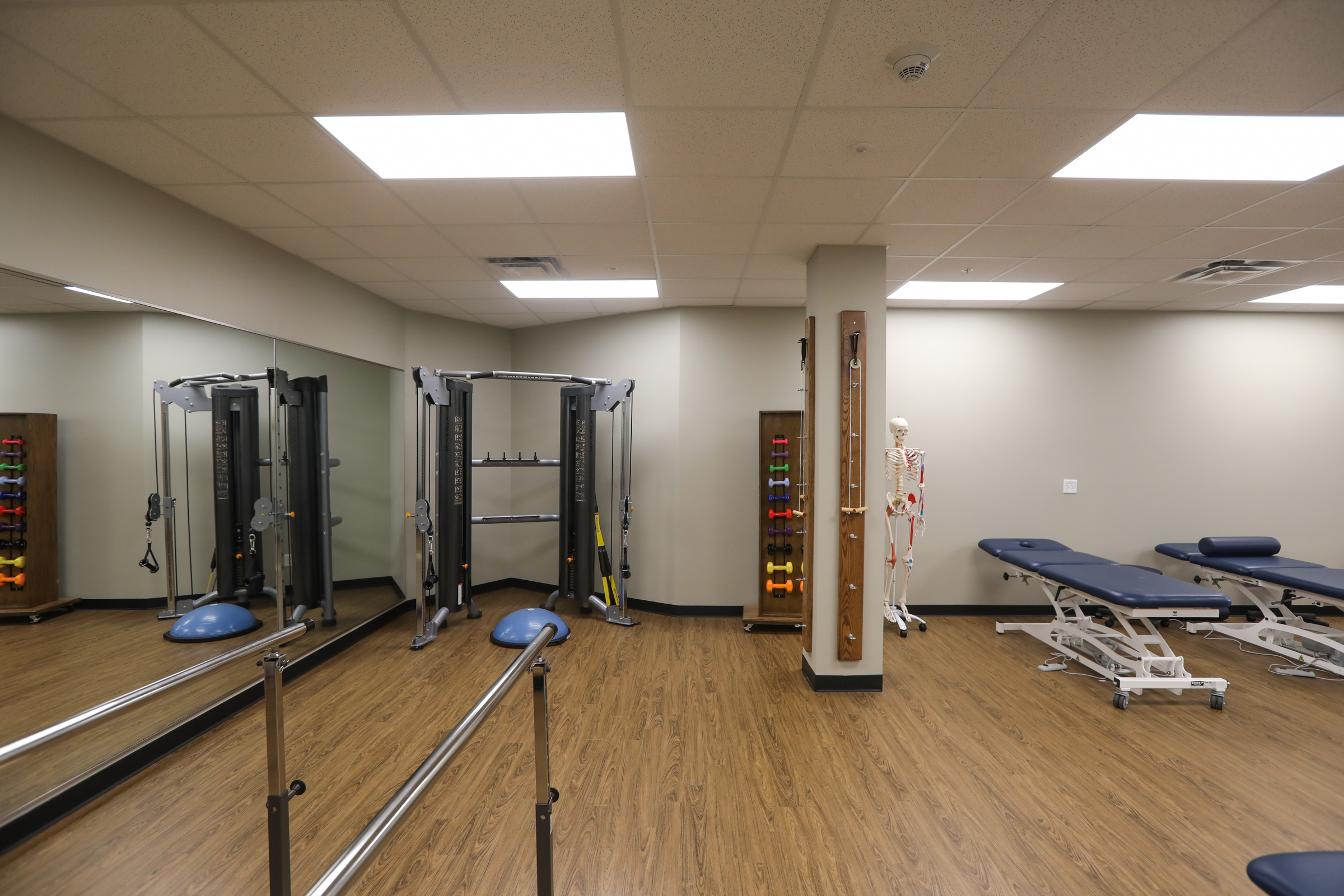 Physical Therapist classroom