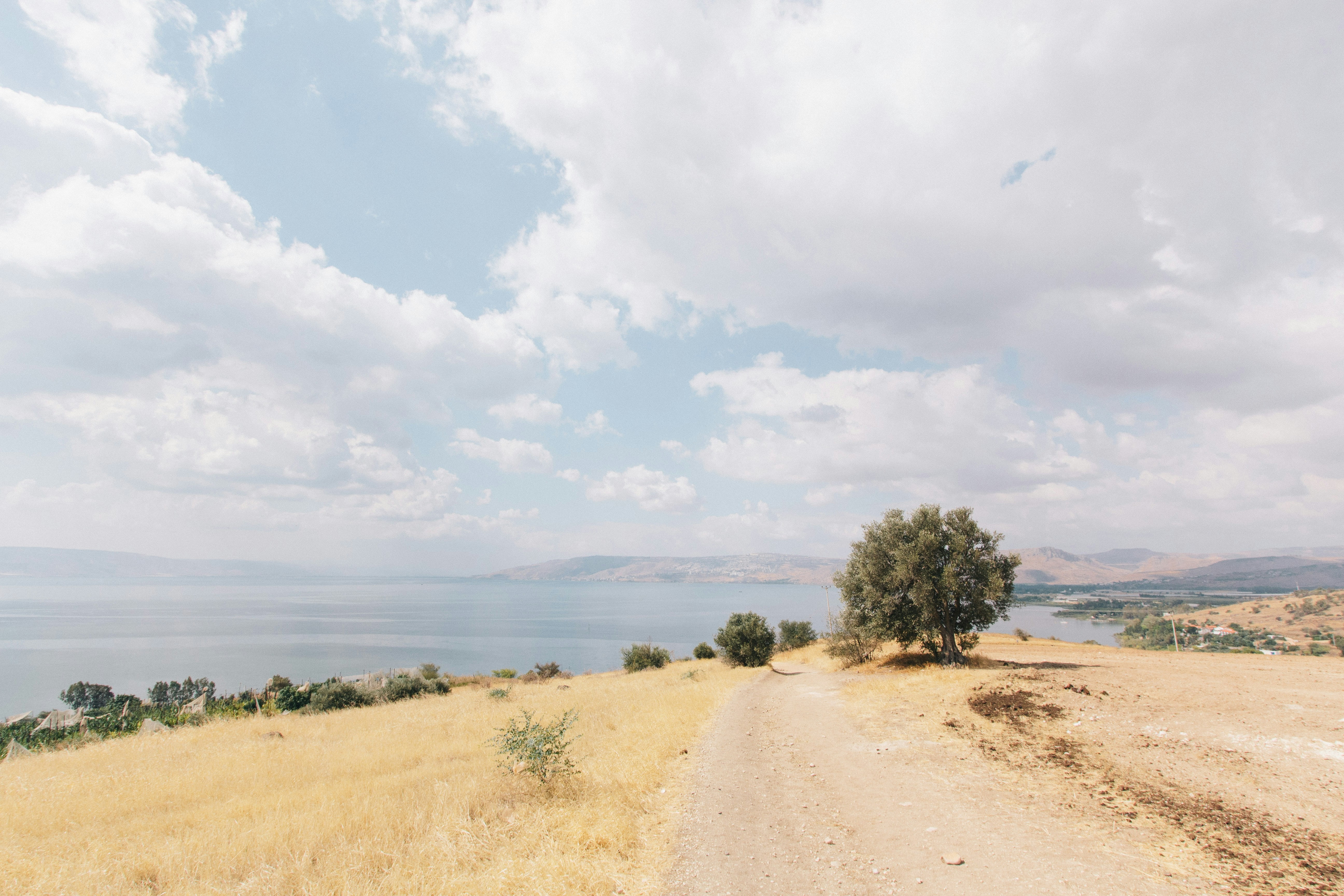 Israeli landscape, featuring a road by the coast