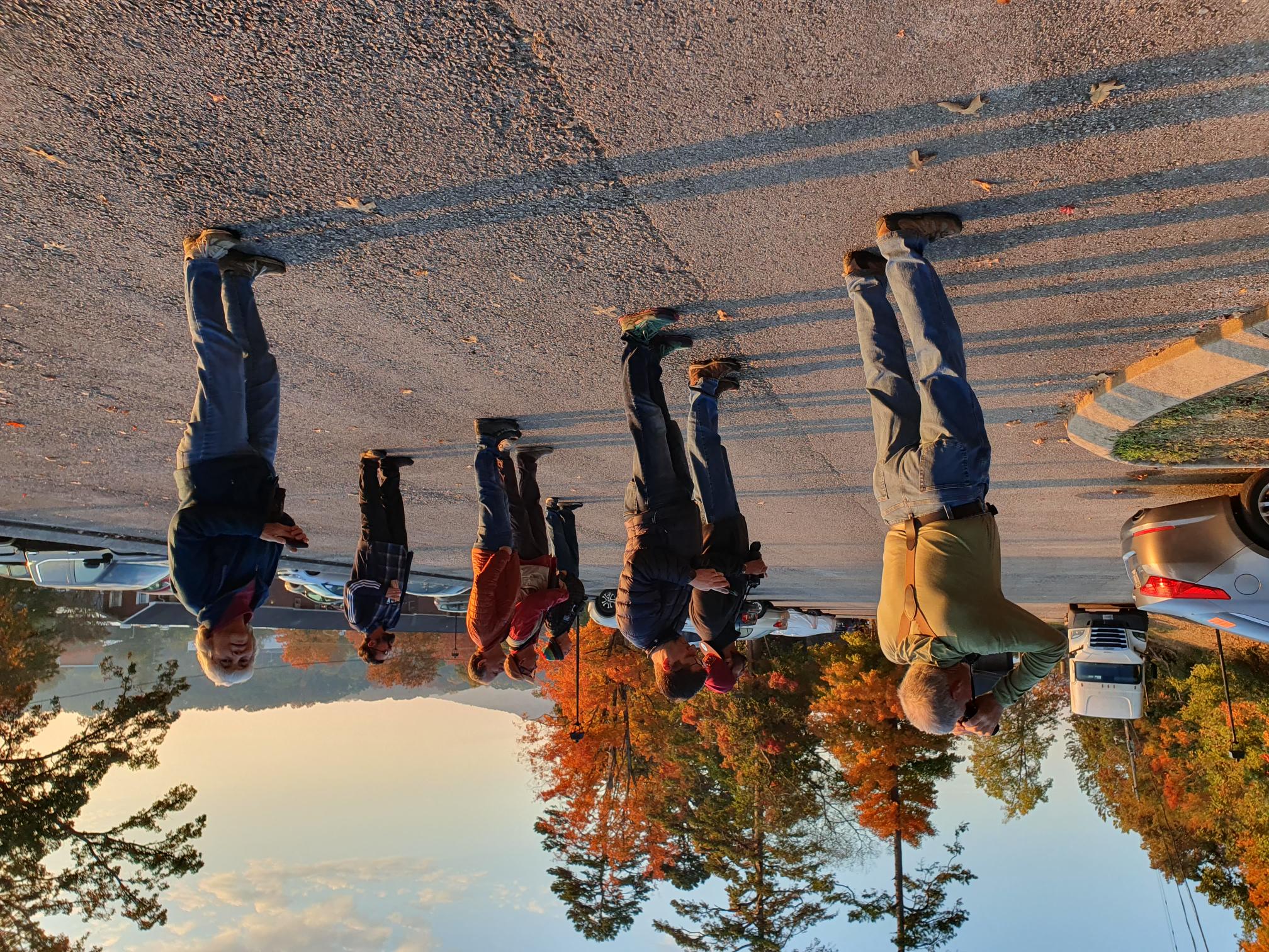 People standing in a parking lot taking pictures of a bird in a tree