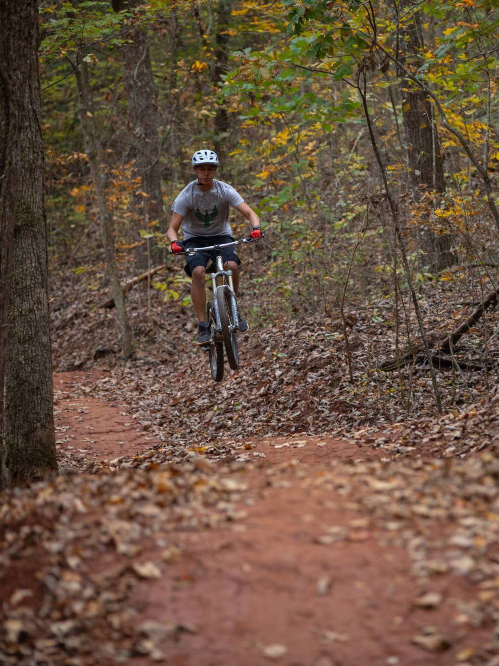 White Oak Mountain and Fenton Forest Trails